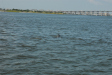 2007-08-03_10119