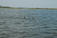 2007-08-03_10134