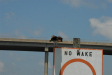2007-08-03_10186