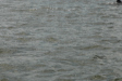 2007-08-03_10210
