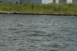 2007-08-03_10213