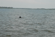 2007-08-03_10293