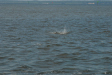 2007-08-03_10320