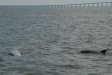 2007-08-03_10357