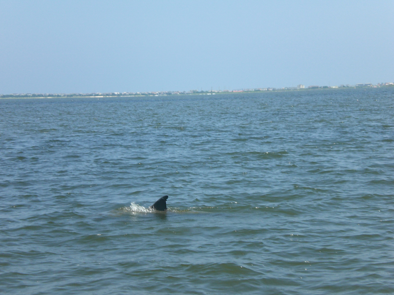 2007-08-030060