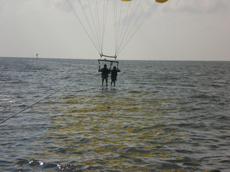 2007-08-030081