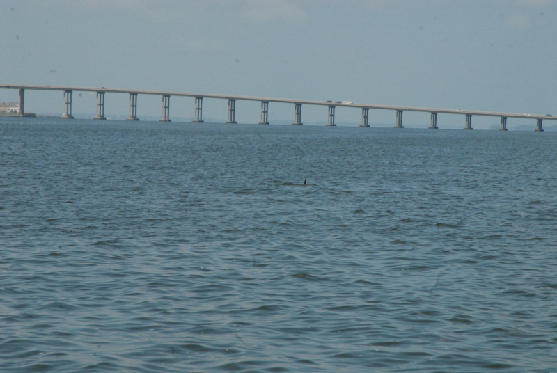 2007-08-03_10019