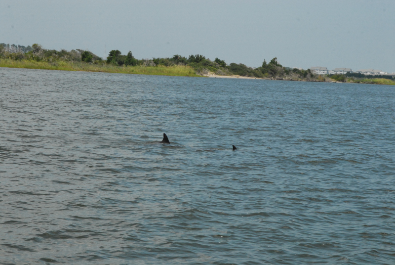 2007-08-03_10042