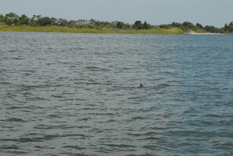2007-08-03_10047