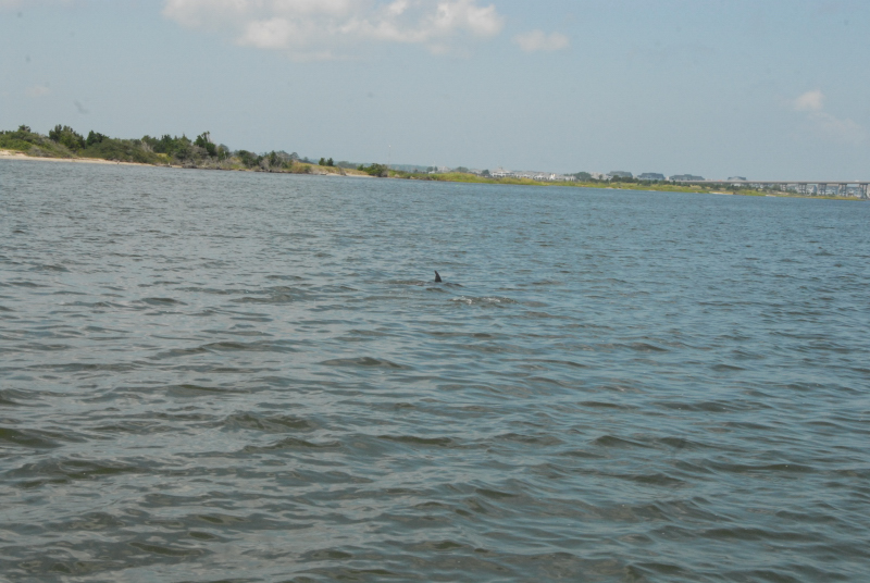 2007-08-03_10067