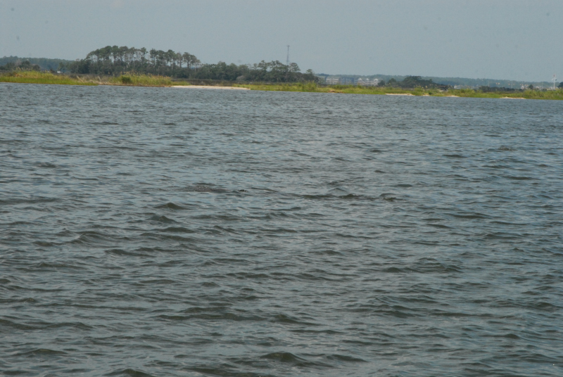 2007-08-03_10100