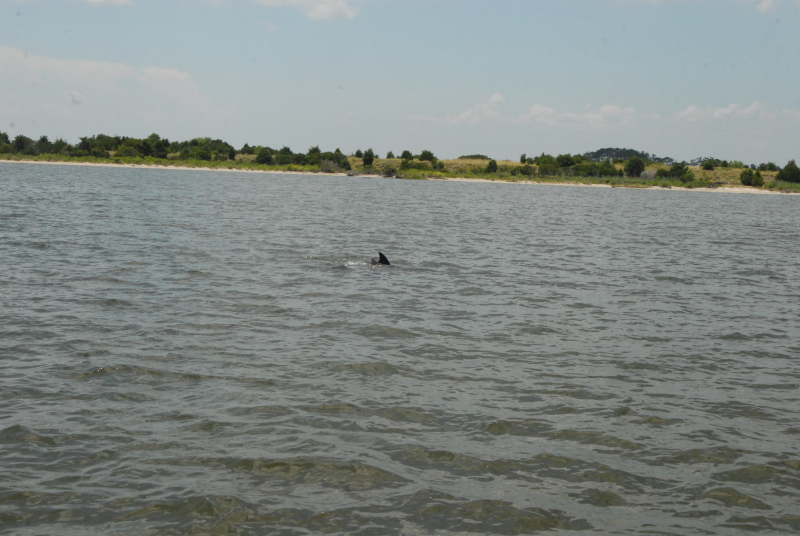 2007-08-03_10145
