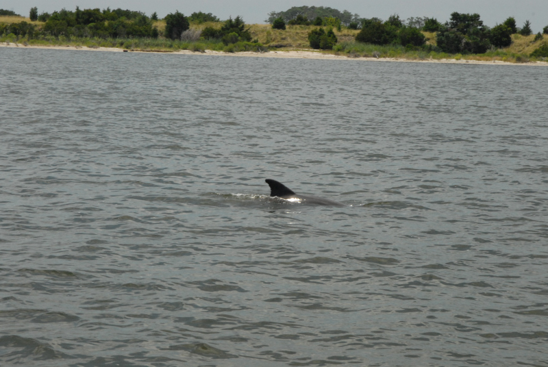 2007-08-03_10156