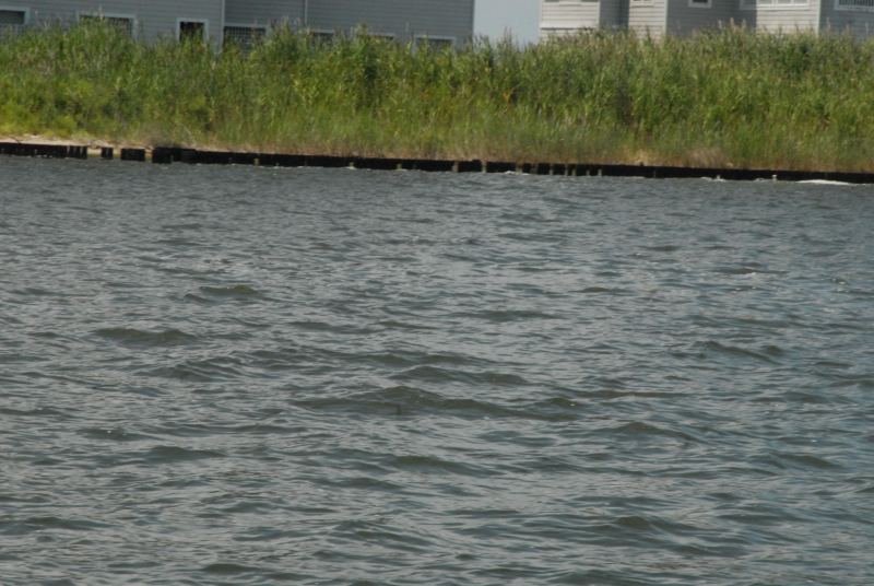 2007-08-03_10213