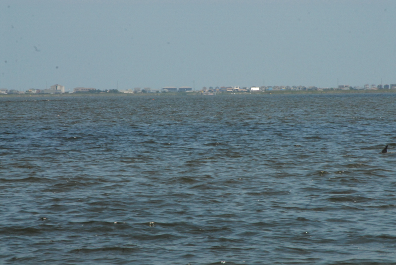2007-08-03_10256