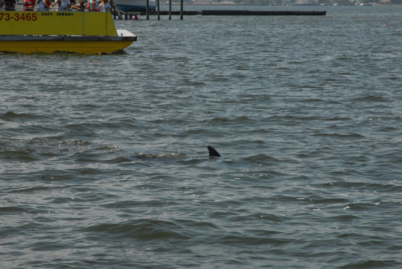 2007-08-03_10284