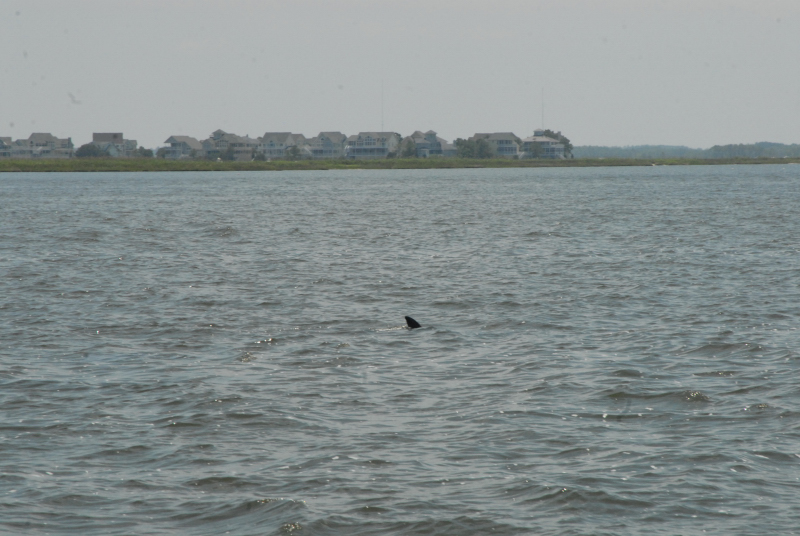 2007-08-03_10288