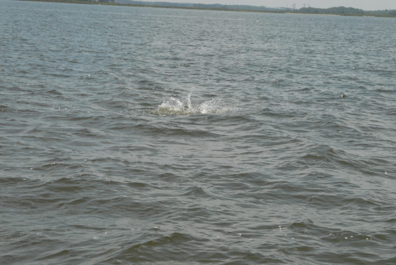 2007-08-03_10296