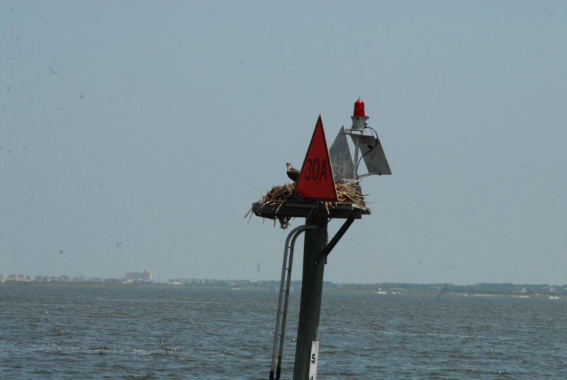 2007-08-03_10309