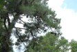 2007-08-160051