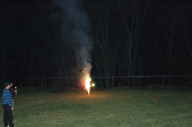 Sankranthi2006-0020