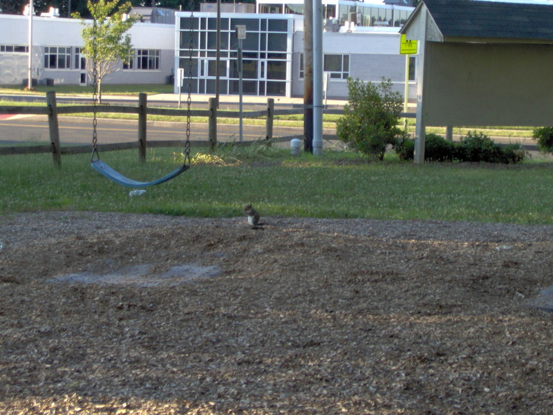 2005-07-03_16-30-00