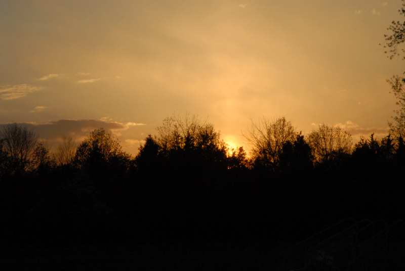 DSC_00220021