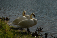 Poconos_2007_0062