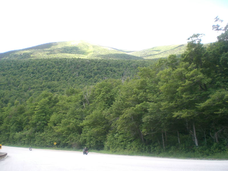 White_Mountain_2007-0037