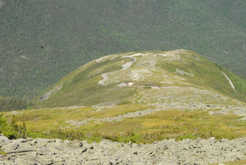 White_Mountain_2007-0189