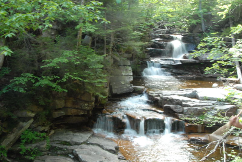 White_Mountain_2007-0262