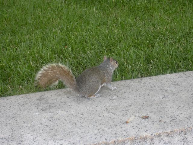 DSCN0096