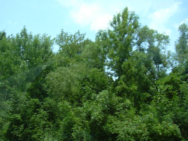 update-0626-DSCN0042