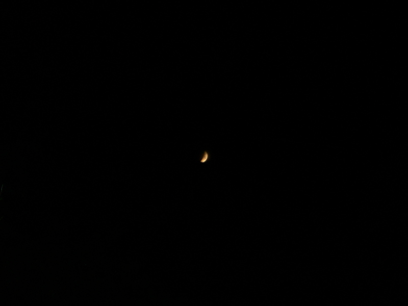 DSCN2088