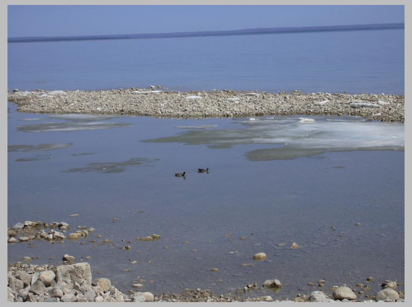 20030424-DSCN0053